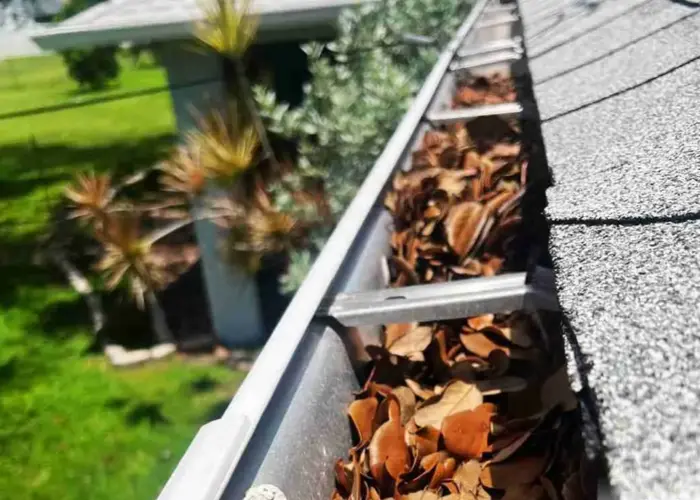 New Castle gutter cleaning home page
